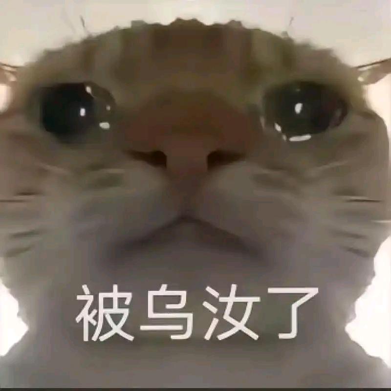 贪吃鼠鼠 等126.8w人