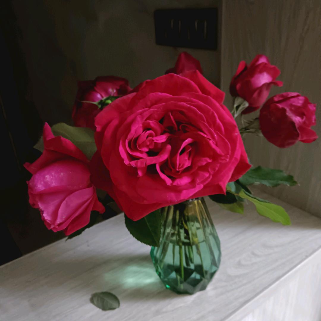 ꧁࿆ั伤不起✾꧂