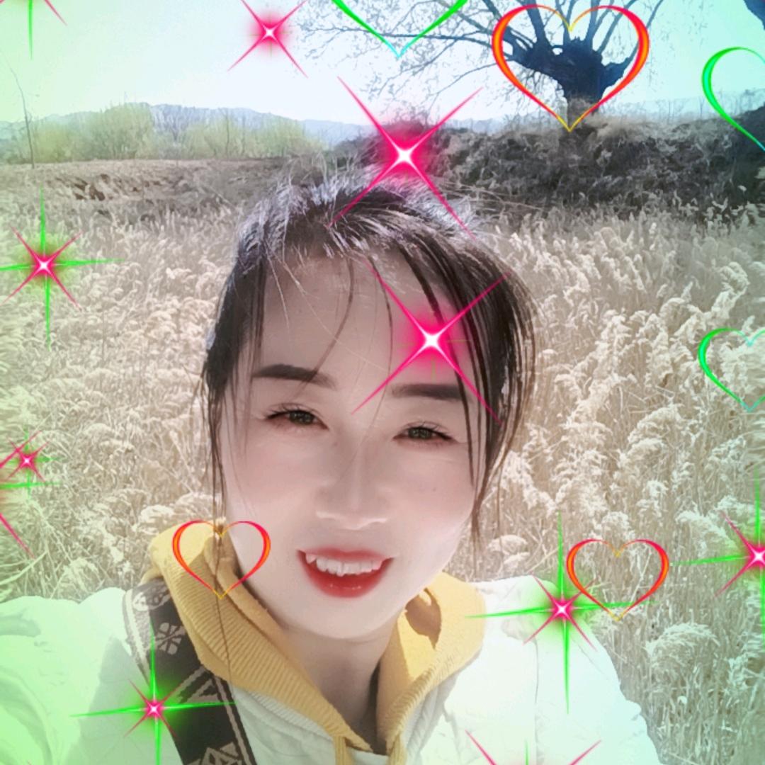 高莉
