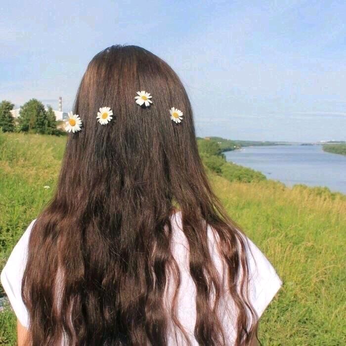 七月411
