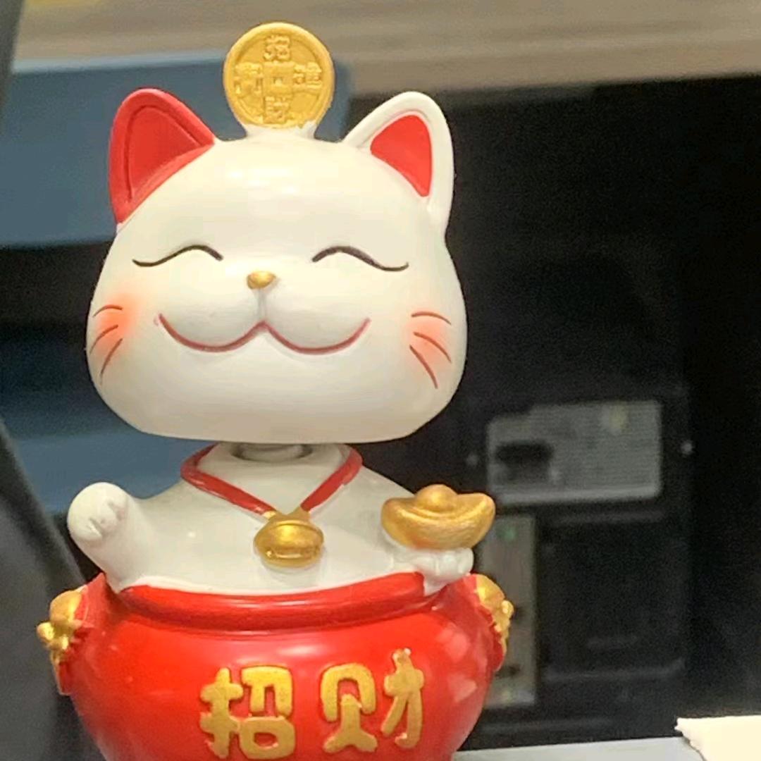 小鱼🐠爱吃猫