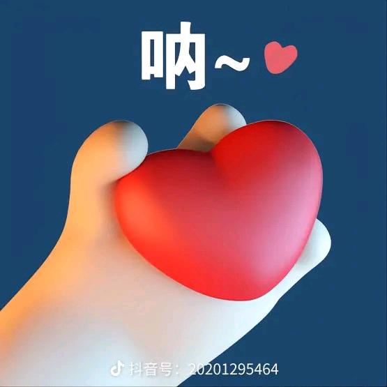 轩阳✨