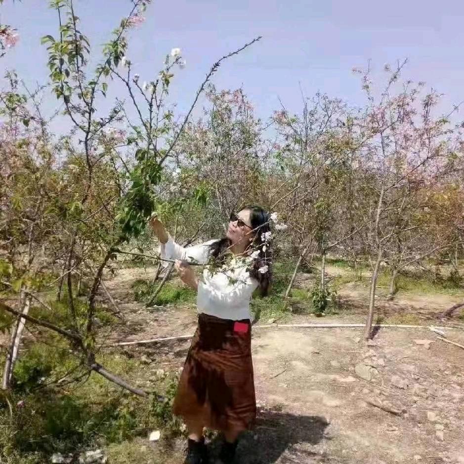 宜家