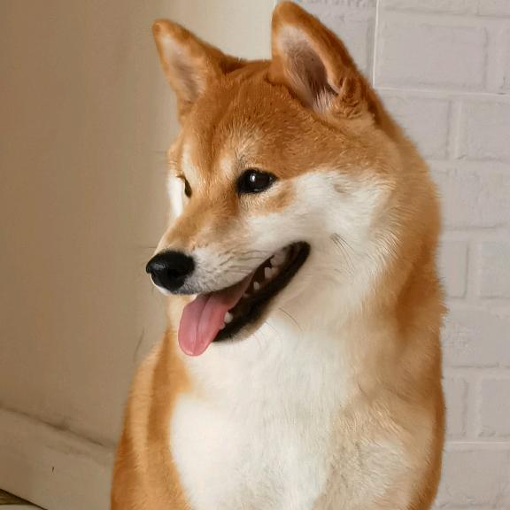 吴八嘎