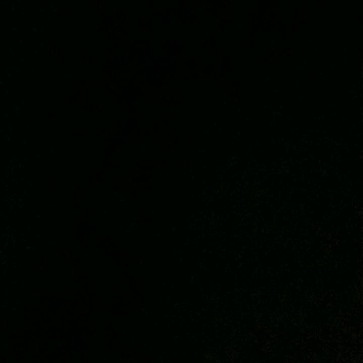 ㅤ     ㅤ