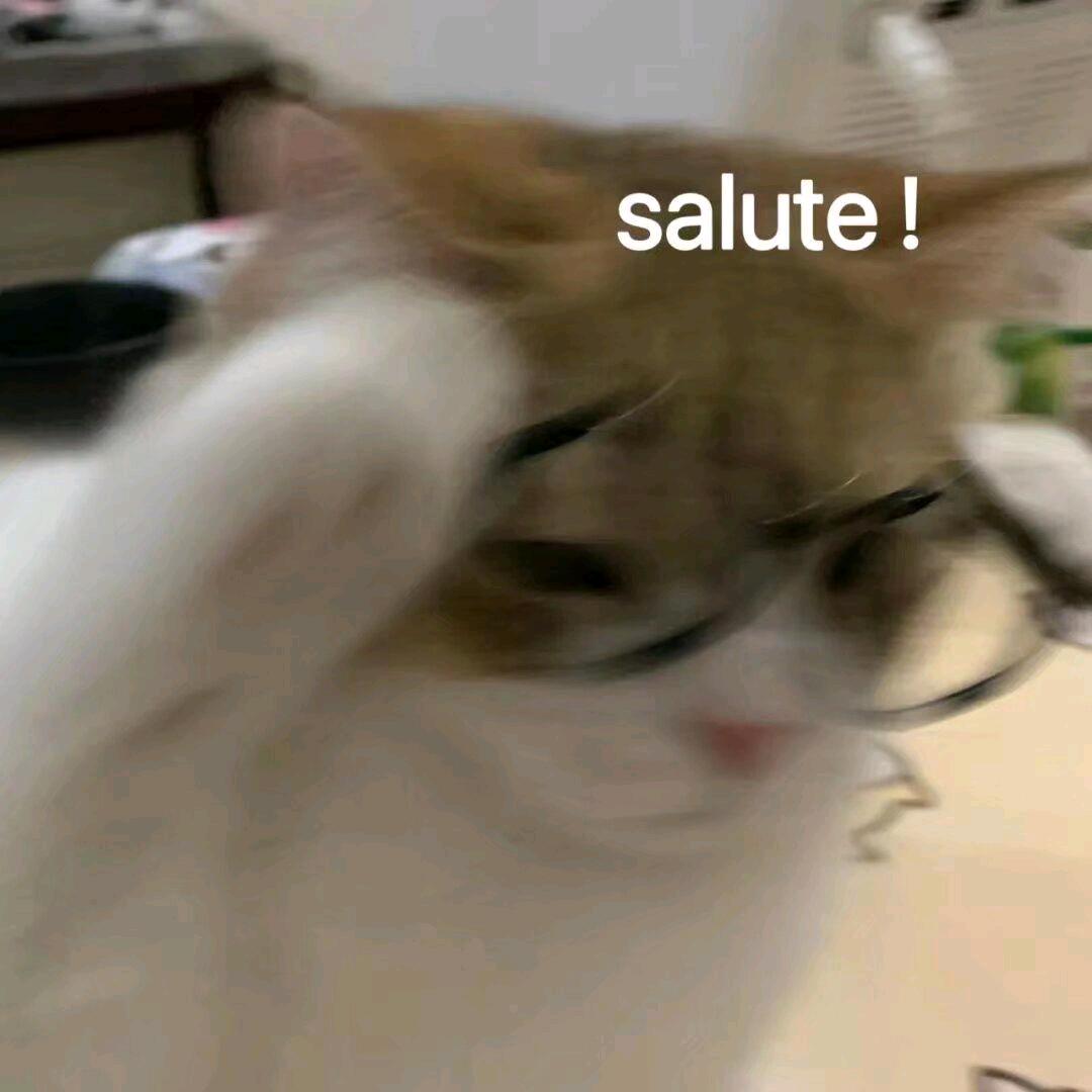 旭（离异带五娃）
