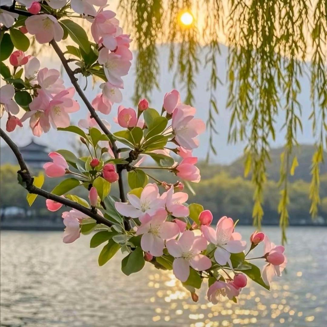 守望幸福