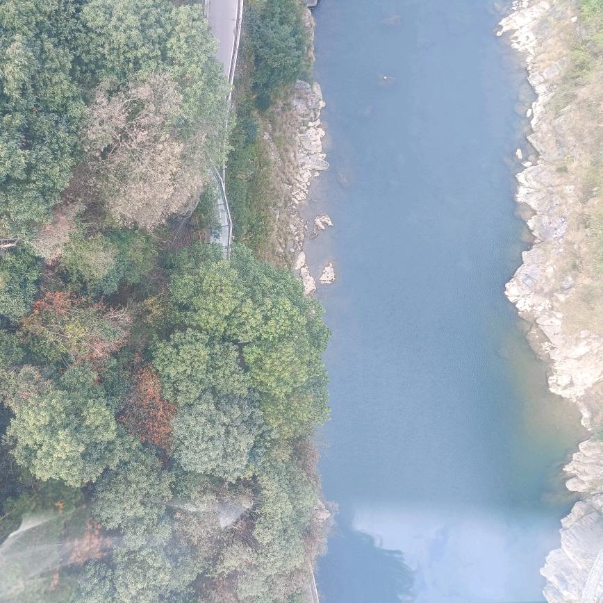 ℳℒℴѵℯ·梁ོꦿృ༊⁵²⁰