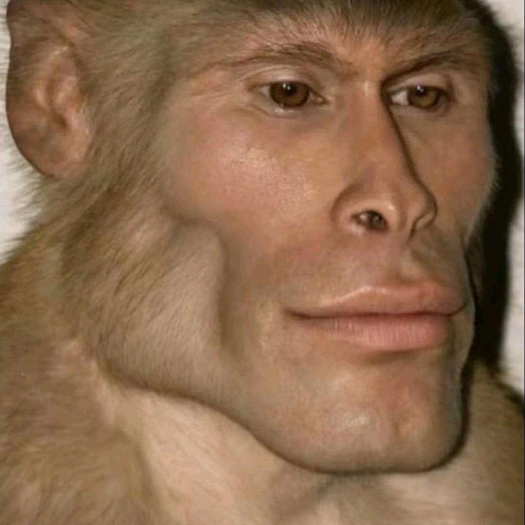 好啊U