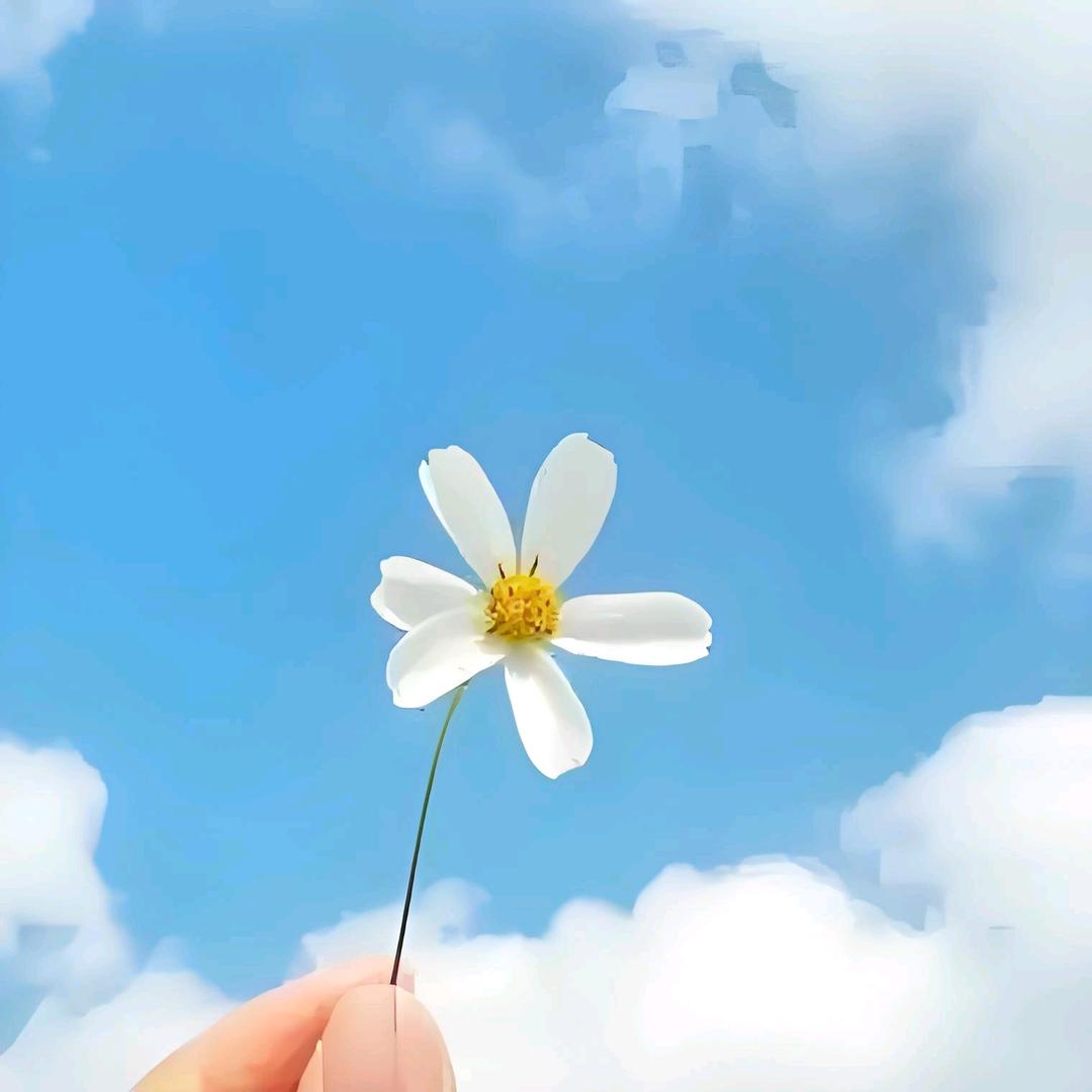云水禅心