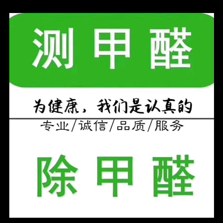 广州除甲醛专家