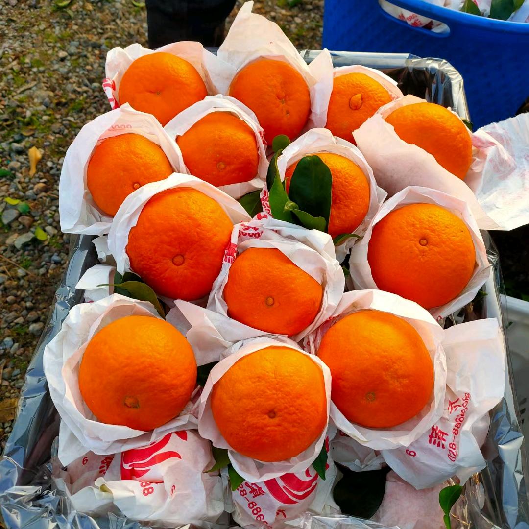 二毛果业文水东高速口店