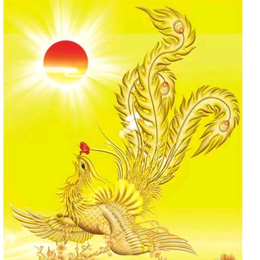 晚霞飞舞的凤凰