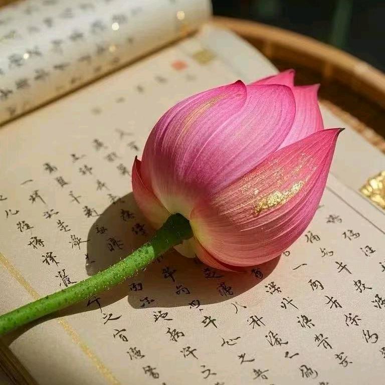 福满堂银楼（年前盘点）