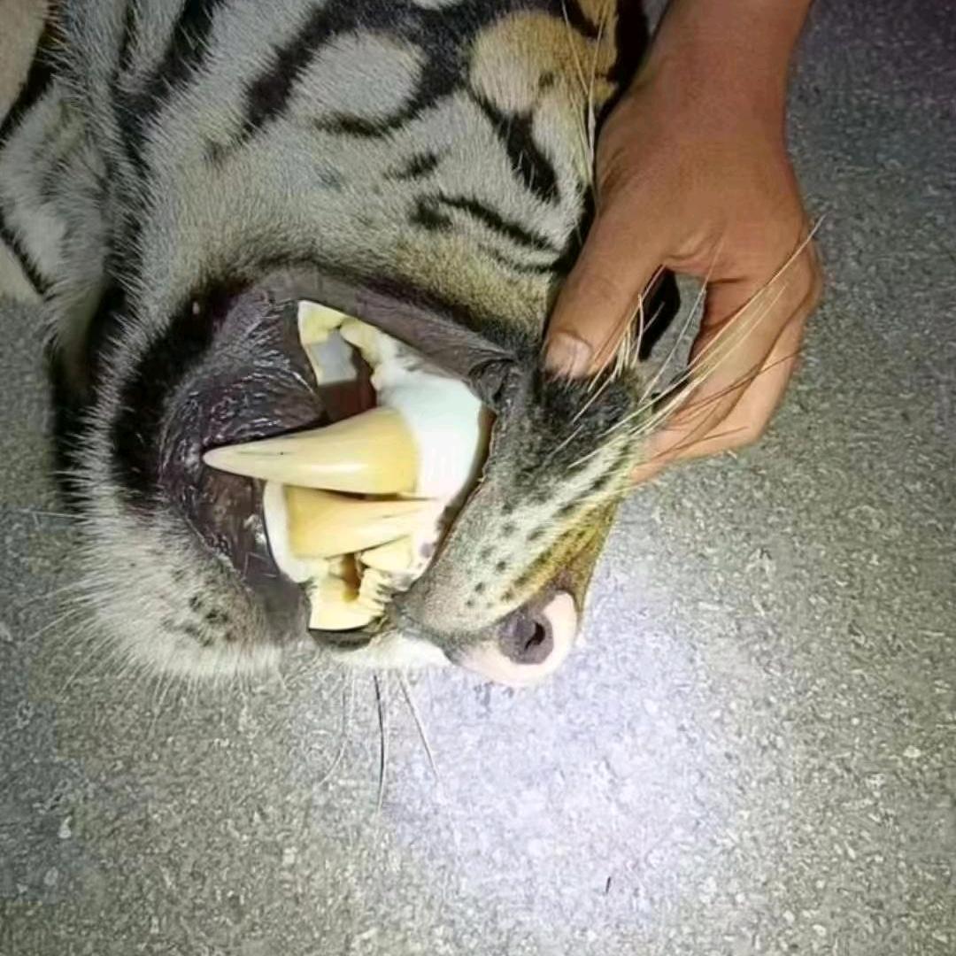 小文《灵异故事》