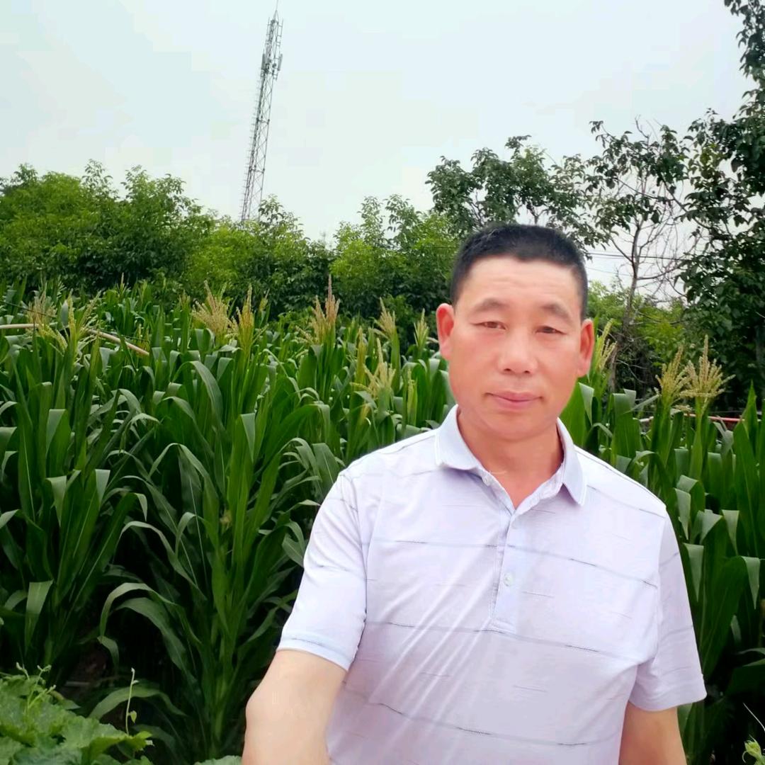 创业哥，准备中，