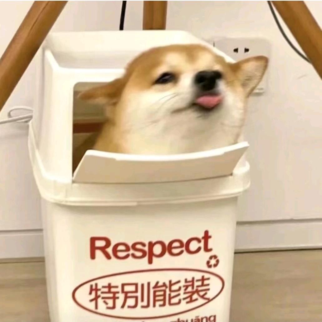 橙澄呀