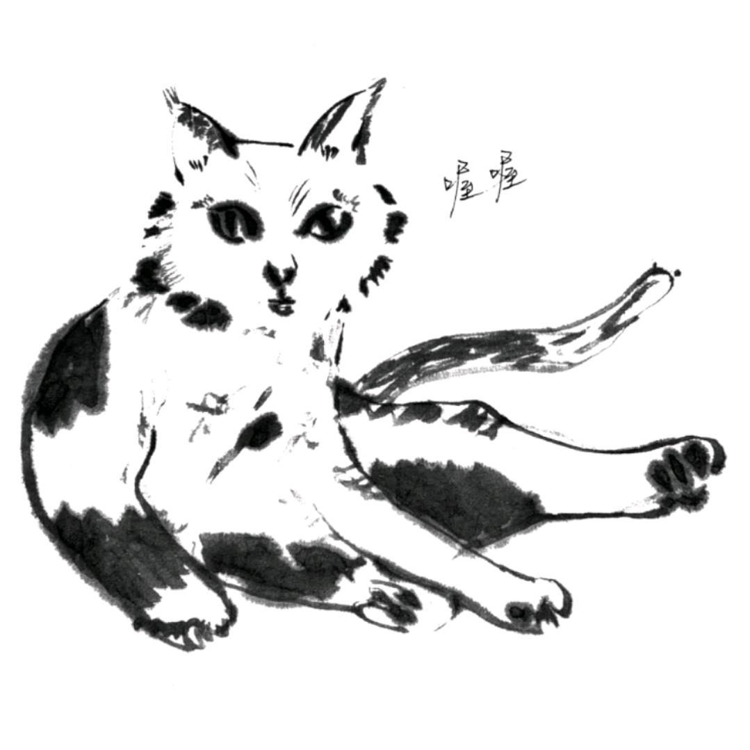 人间富贵花本花