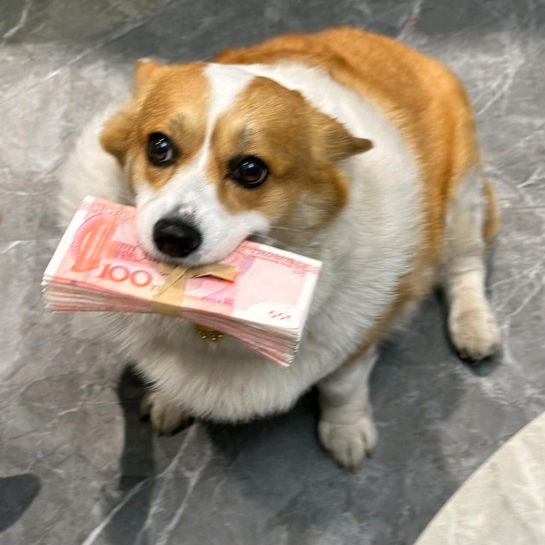 一个脚脚一百斤