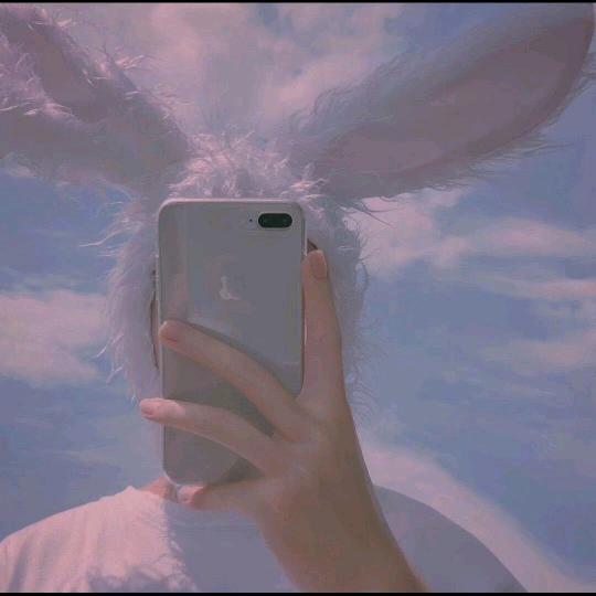 学习者的好物优选