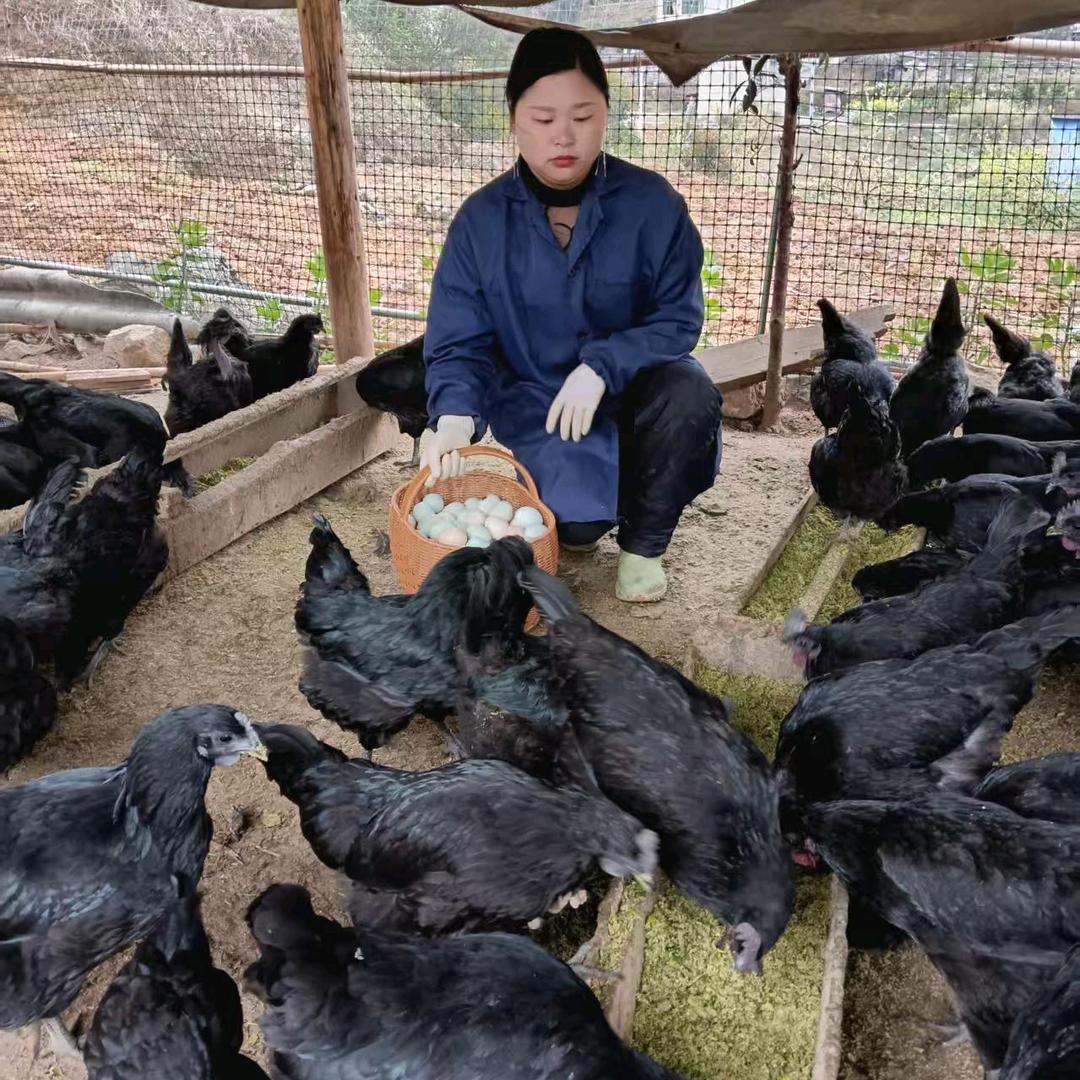 35260424927萧丽