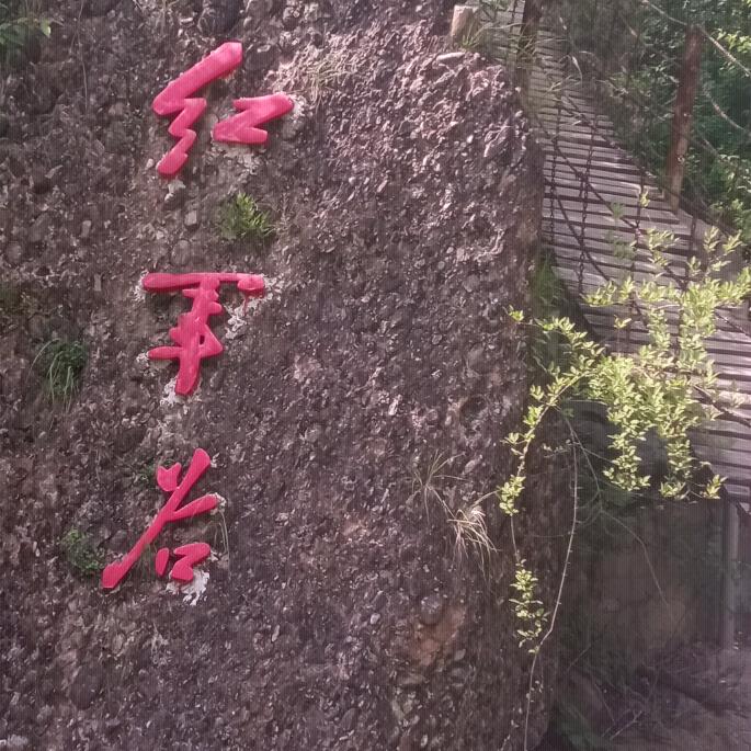 向阳公社