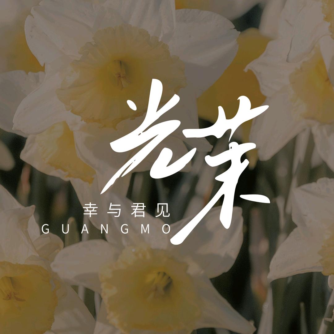 G-M光茉定制