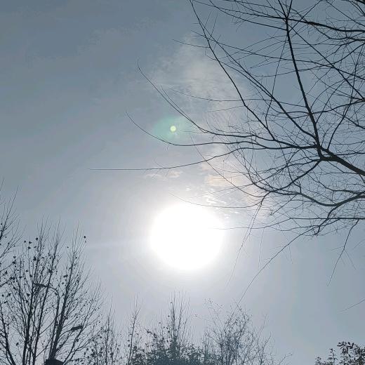 阿光