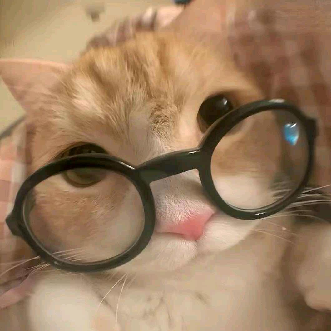 东普松