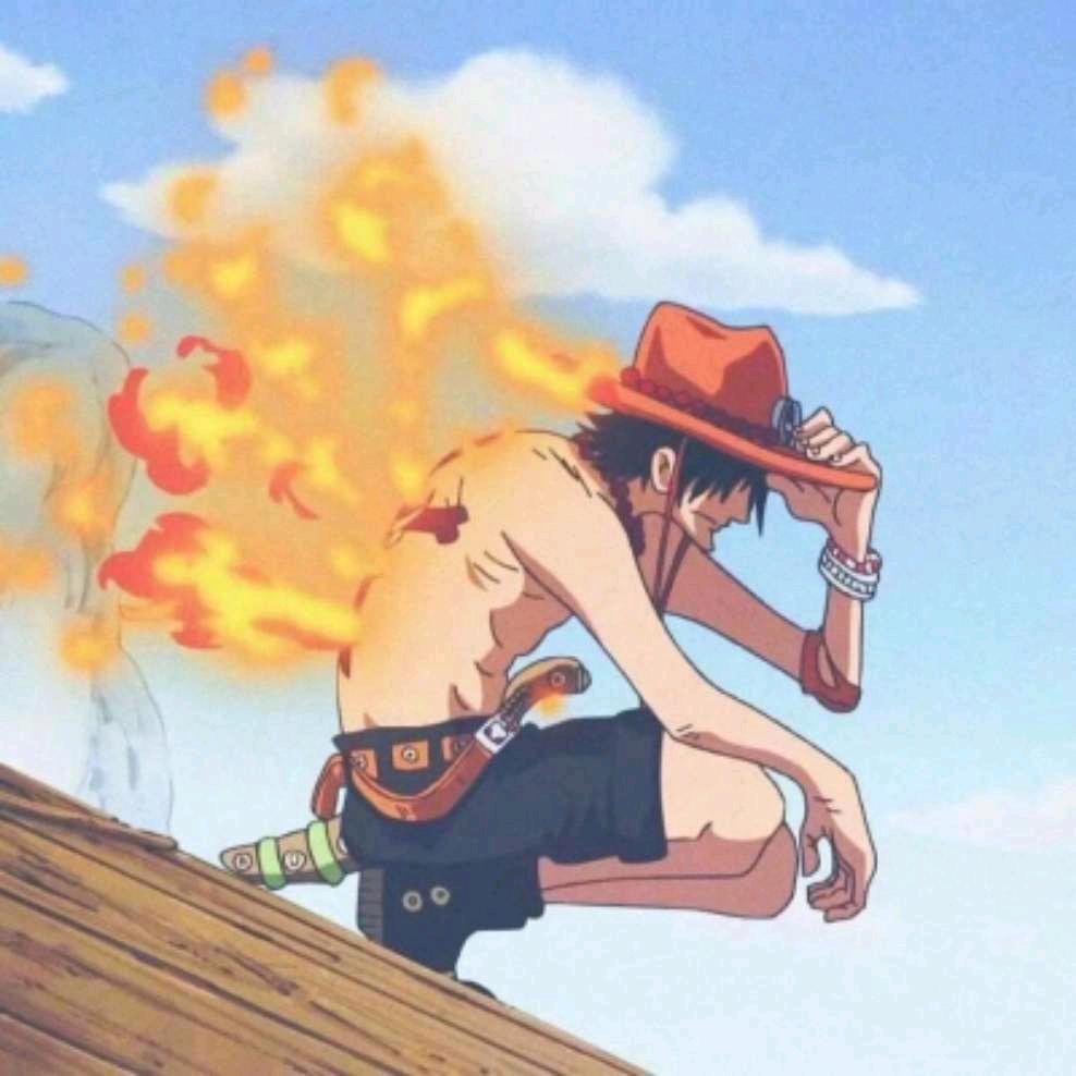 野贼