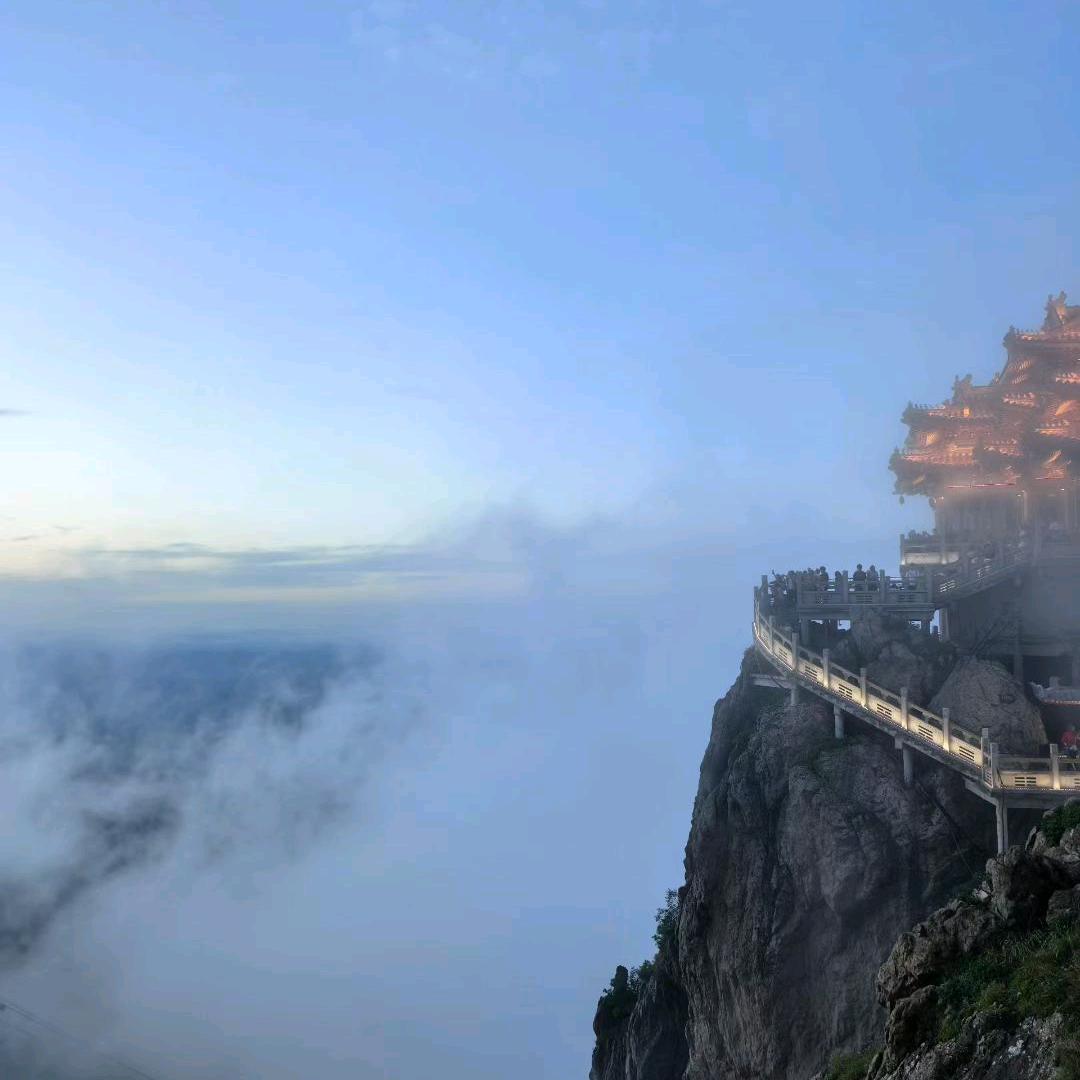 咖啡少年不加糖