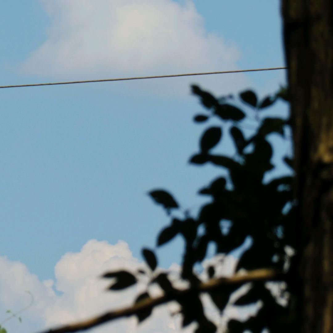 靠脸吃饭差点饿死