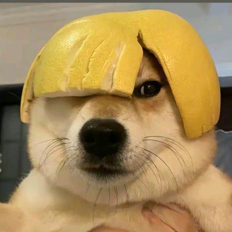 叮咚