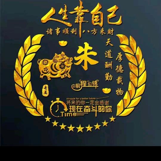 汽车🚗搬运工小朱