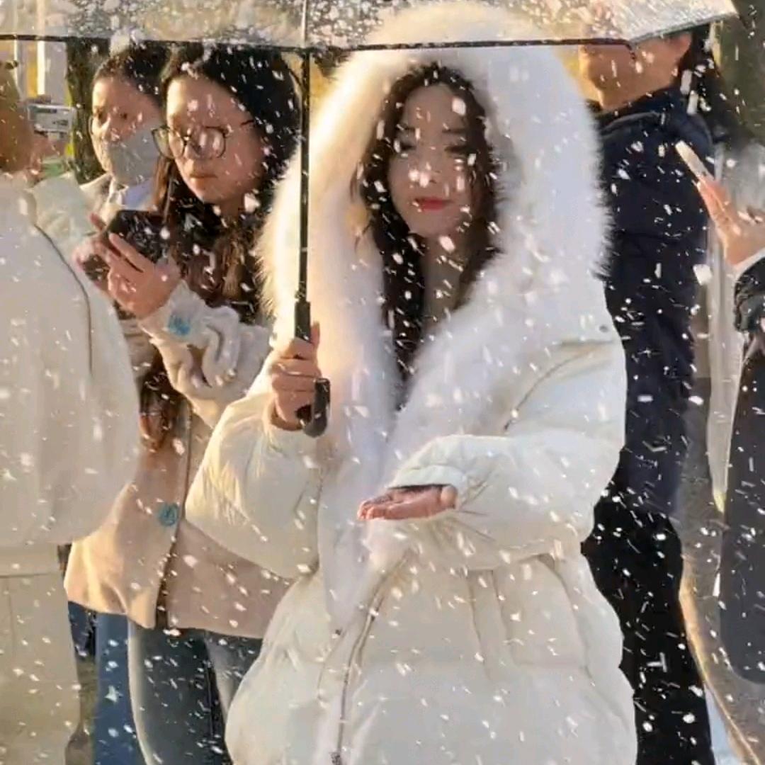 洛洛🎀（可接来图定制）