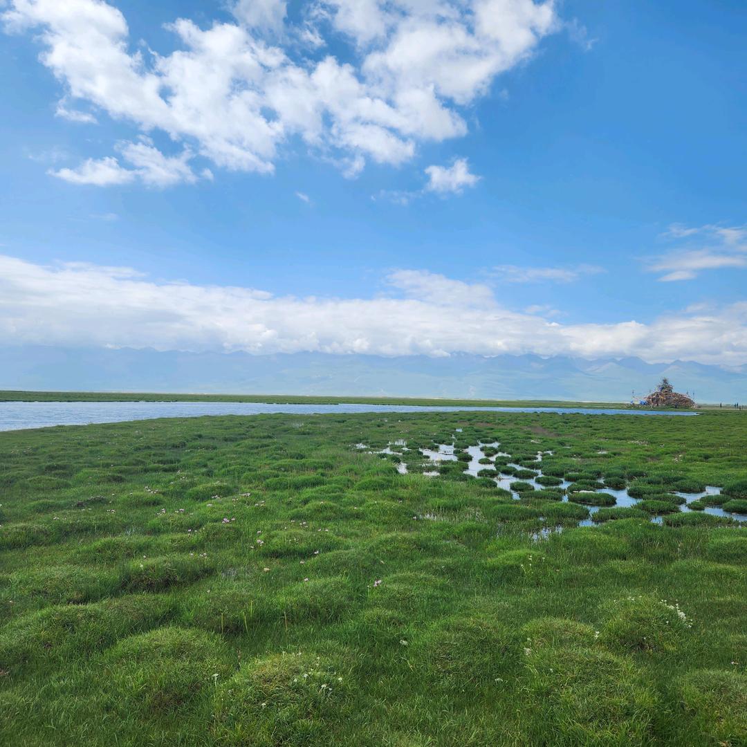 小小啾文玩玉米🌽