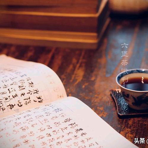 漂泊白杨头像