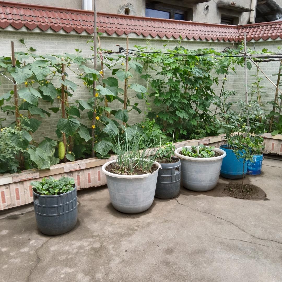 🇨🇳战辉🇨🇳