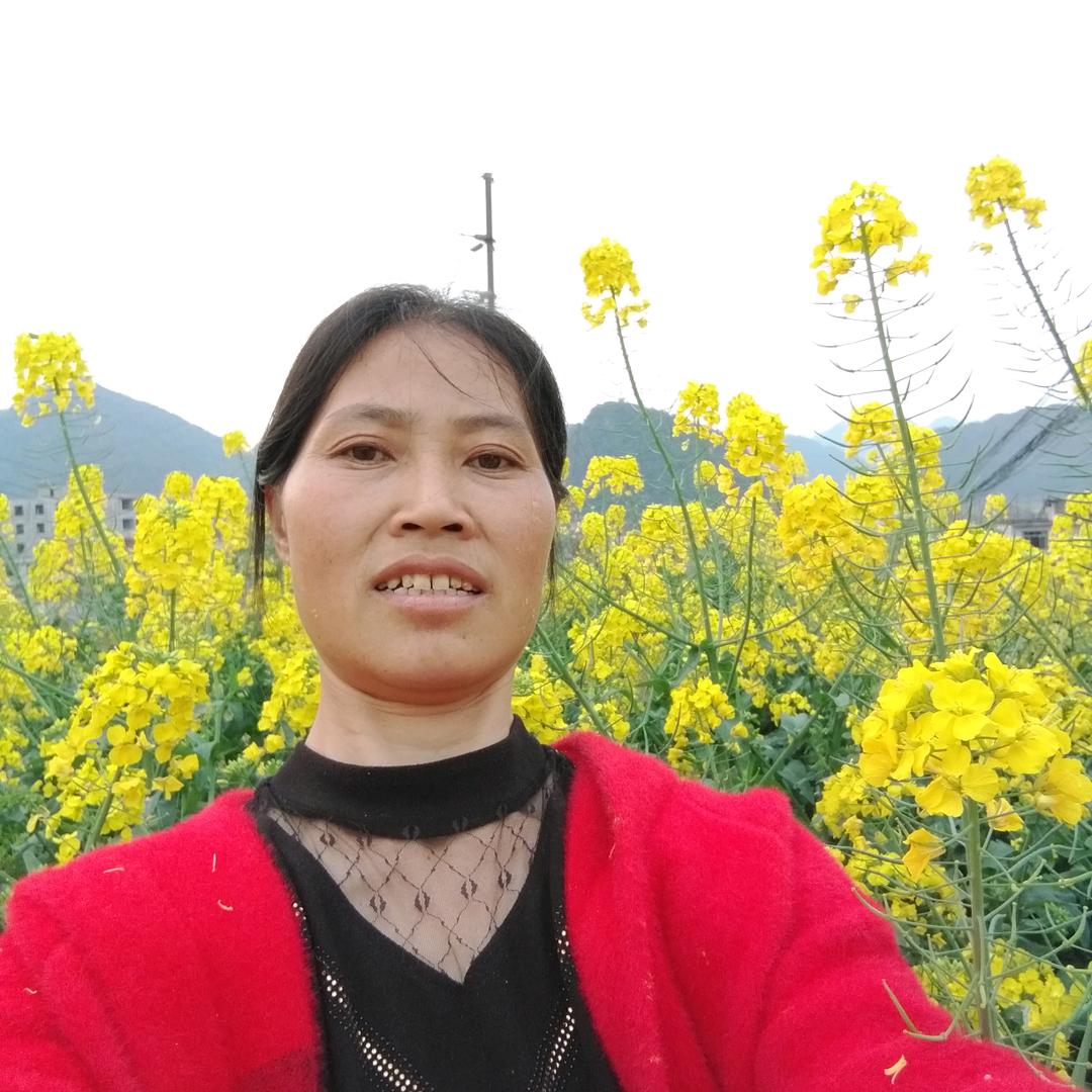 赵敏