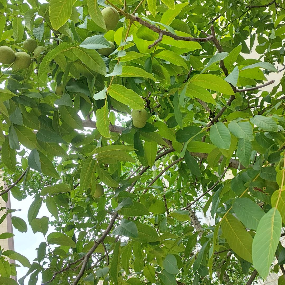 星✨知我心
