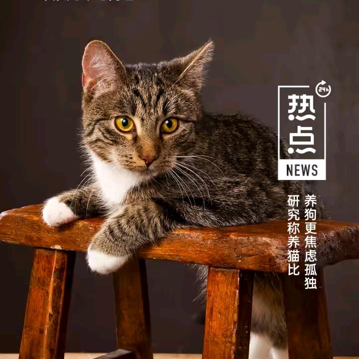 太阳