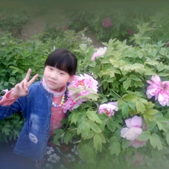 雁姐🎙音乐