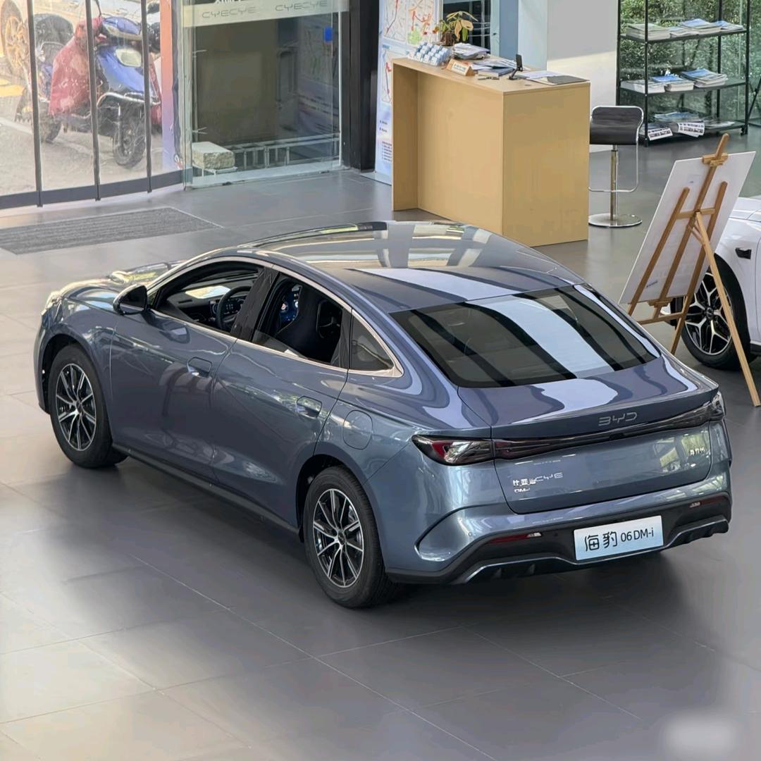 海豹06全国工厂价