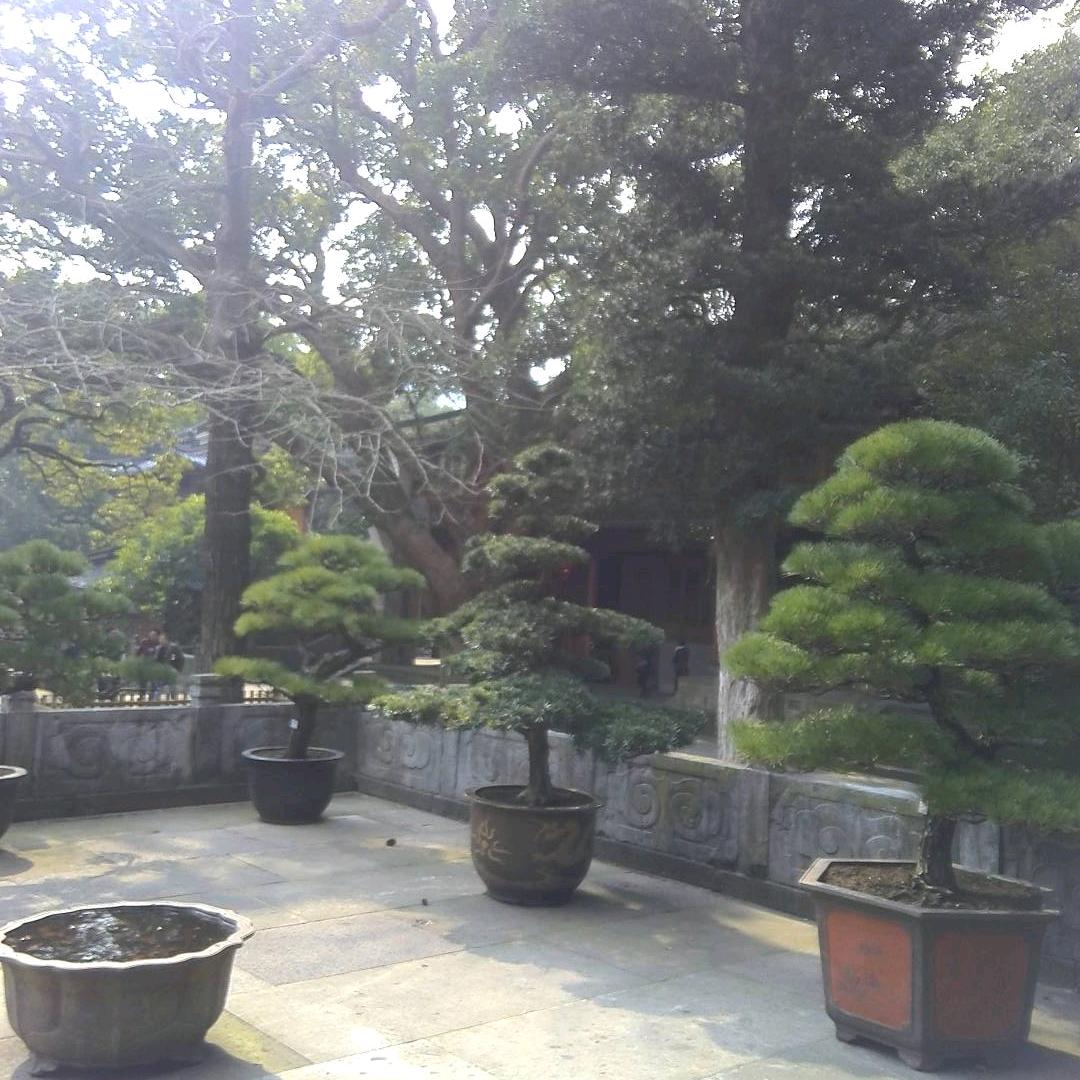冰山