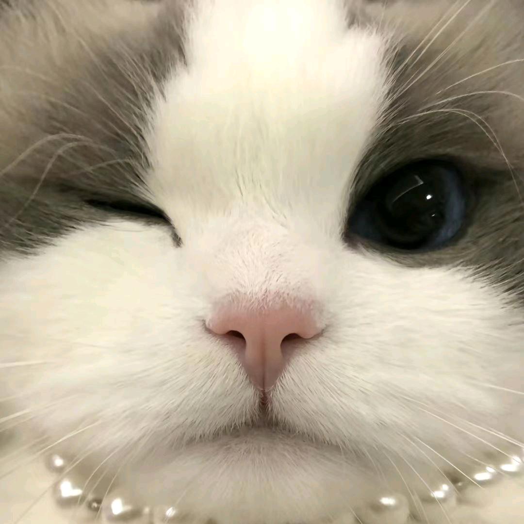 小漠（❤）
