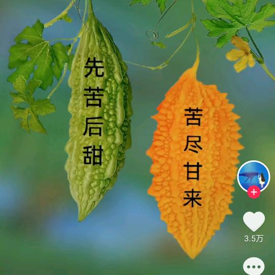 漂洋过海来看你