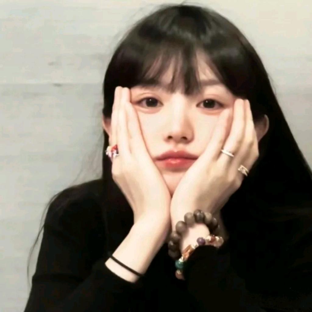 海上森林一只猫