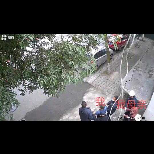 公仆爱公民（第二次重置）