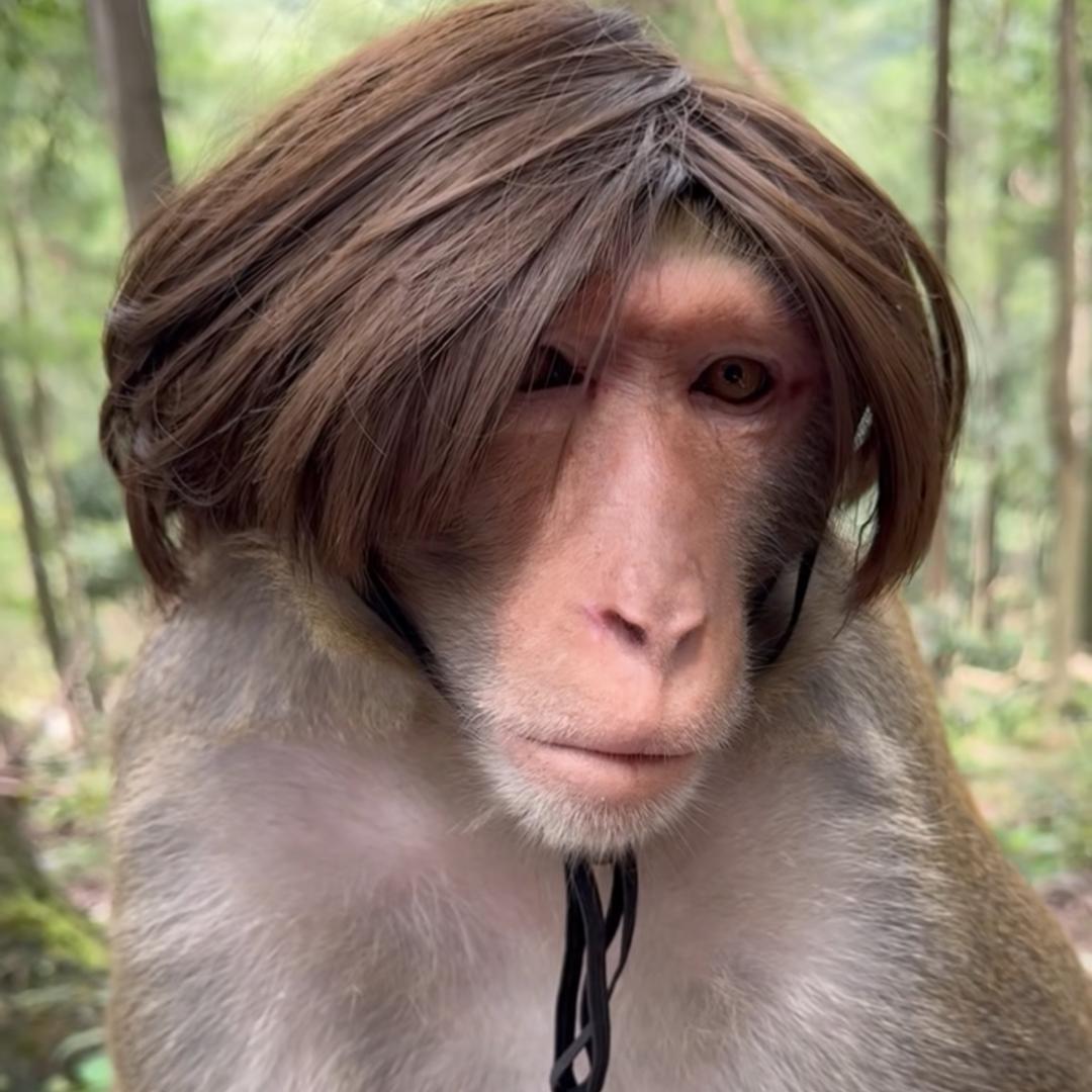 美喽王（花果山代王）