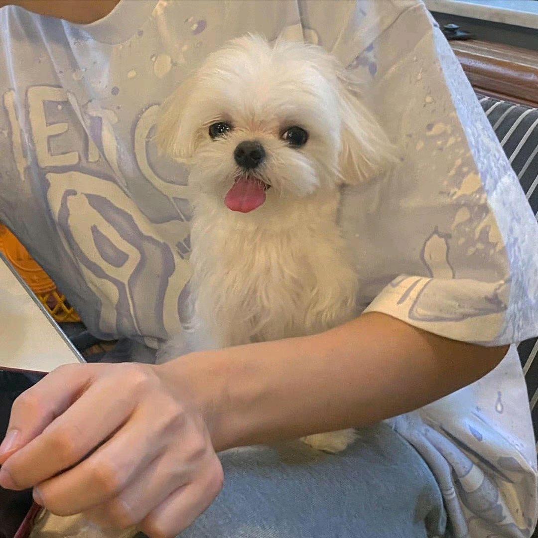 边边角角∠